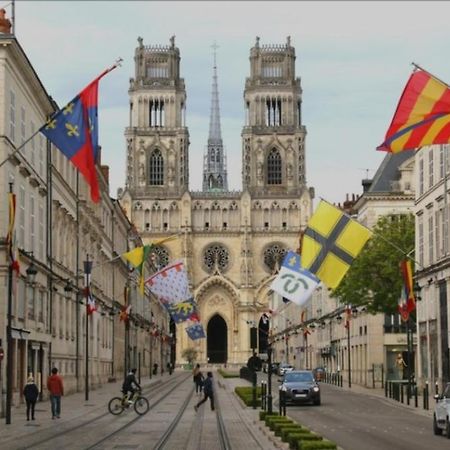 Studio Rue Pietonne Orléans Esterno foto